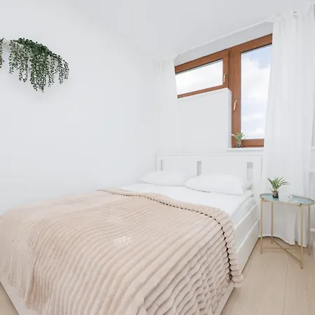 Capitol Bright In By Renters *