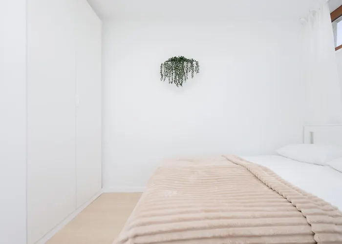 Apartment Capitol Bright In By Renters