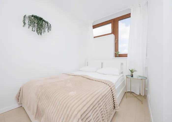 Capitol Bright In By Renters *