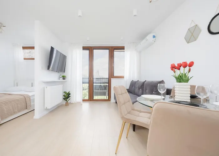 Capitol Bright In By Renters Apartment *