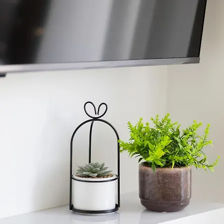 Apartman Capitol Bright In By Renters